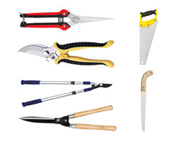 Rakes