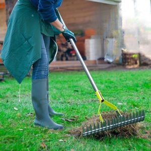 Manual Lawn Dethatching Rake for Africa Hardware Dealers